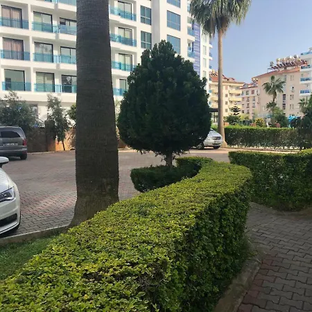 Atam Homes
